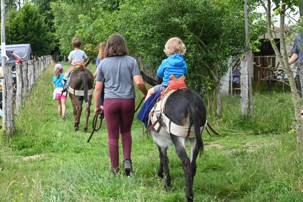 balade a dos d'ânewebp